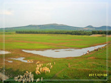 夏游四家水庫——赤峰清涼避暑勝地探秘