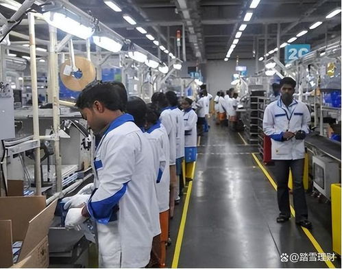 蘋果印度工廠全面撤退 庫克不得不接受的現實